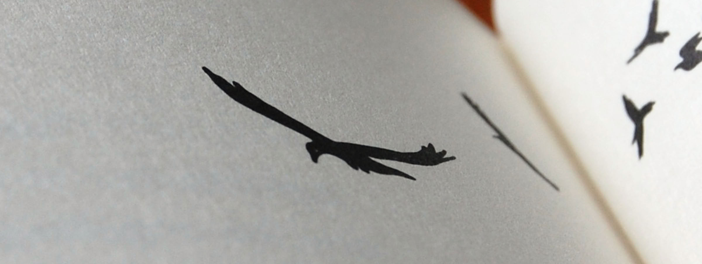 Lydia Rood, Sophie Crossart. Hartfalen.  Lydia Rood, Sophie Crossart. Hartfalen.