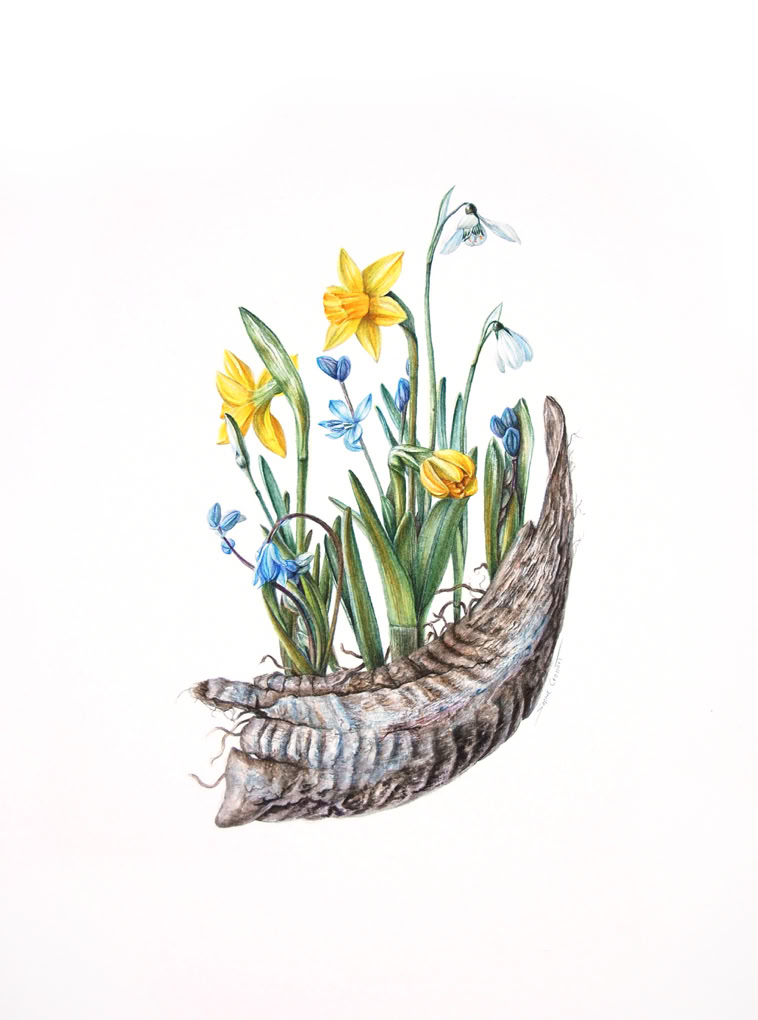 Botanische kunst, botanical art, Sophie Crossart. Earthship. 