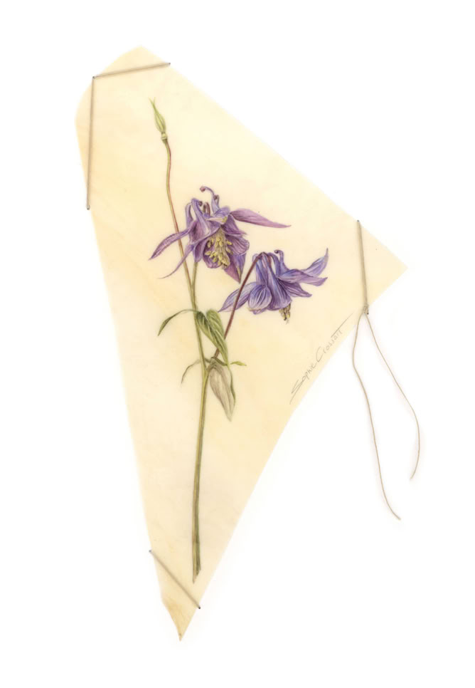 A small measure of peace, watercolour on vellum, linen yarn on museum board, 31 x 21 cm, 2024. Private collection.