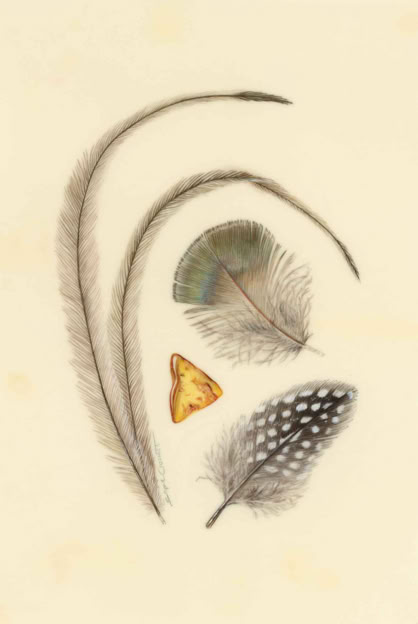 Botanische kunst, botanical art, Sophie Crossart. Clementine