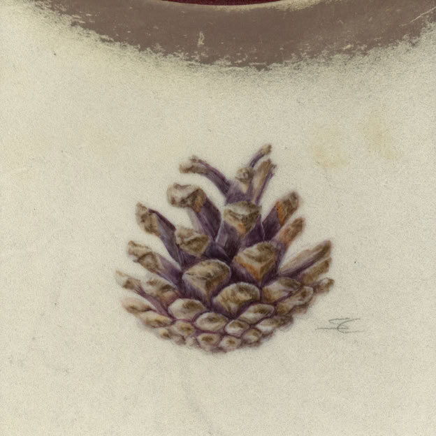 Pinecone, watercolour on vellum, 22 x 22 cm (framed size), 2026. 