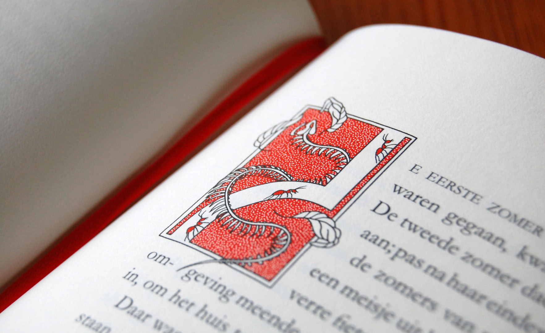 Book illustration. Botanical art and illustration. Botanische Kunst. Lydia Rood. 