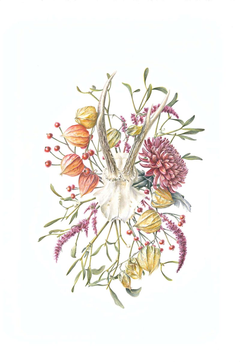 Botanical art, botanische kunst, Memento Mori IV, 57 x 38 cm, Watercolour on Paper, 2022.