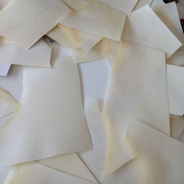 Scraps of vellum