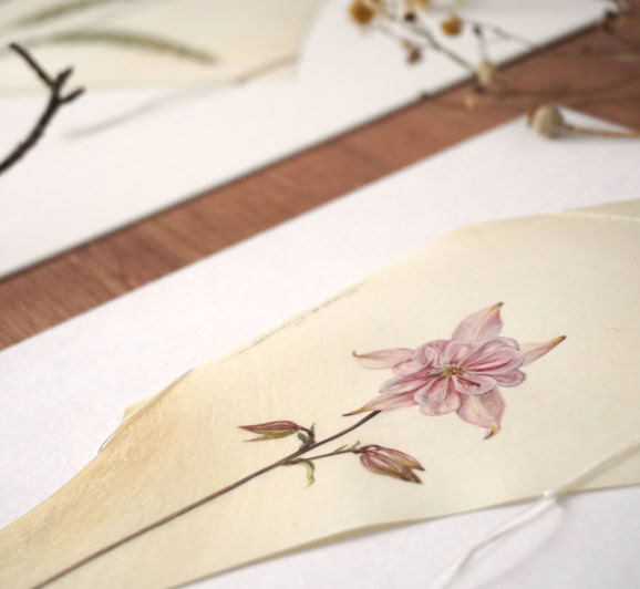 What remains, watercolour on vellum, Sophie Crossart. What remains, watercolour on vellum, Sophie Crossart.