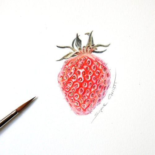 Sophie Crossart, Strawberry, Botanical Art, Botanical Painting, Watercolor